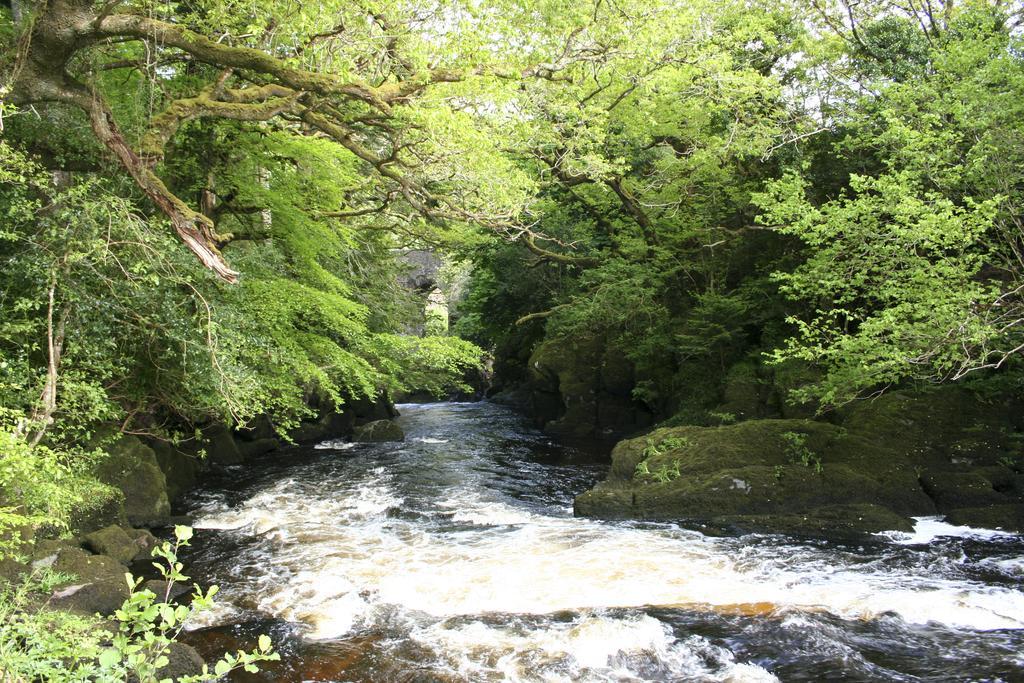 Feirm Cottage Kenmare Kültér fotó